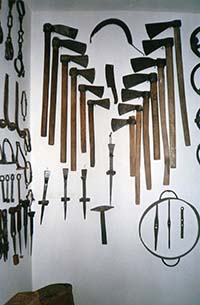 Museo