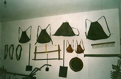 Museo